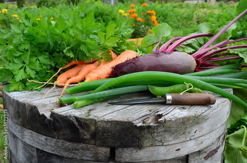 свежий урожай