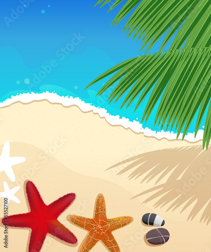 Beach with starfishes