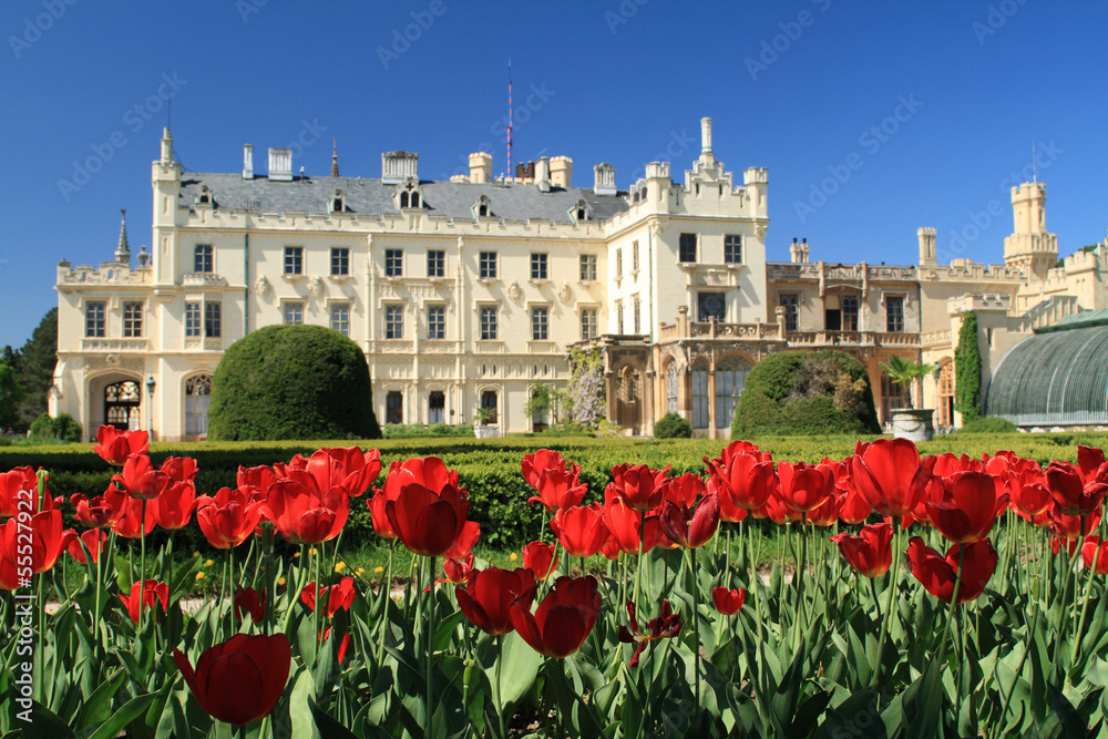 Tulips in front of Castle Lednice