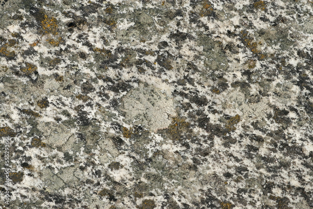 Rock texture background Rock texture background