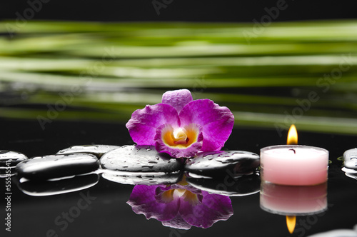 spa concept- orchid and black stones with palm leaf and candle