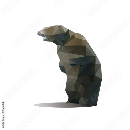 Bear vector