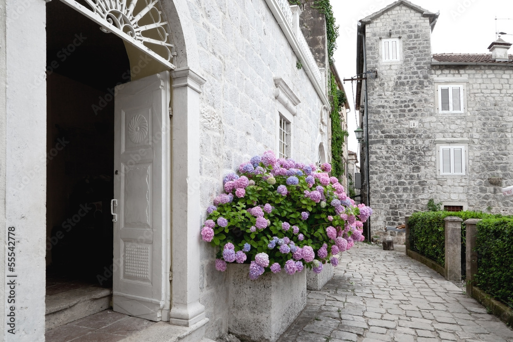 Fototapeta premium Old town street