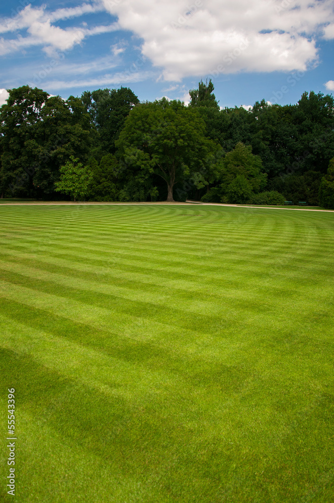 Obraz premium Lazienki Park