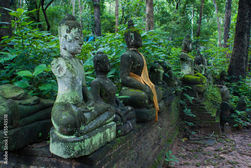 Broken statues of Buddha in a forest temple