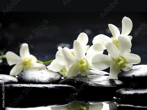 Set of branch white orchid with therapy stones