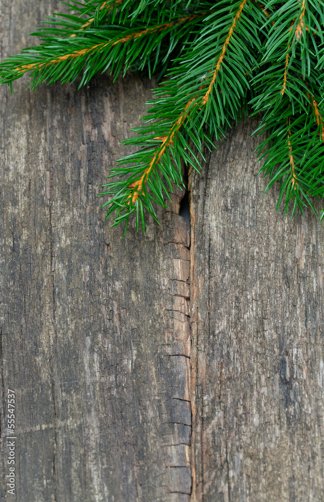 fir tree branches on wooden surface