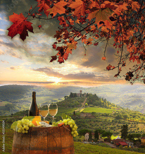 White wine with barell  in vineyard, Chianti, Tuscany, Italy