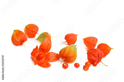 Ripe berries Physalis heap isolated on white