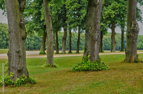 France, the classical park of Marly le Roi photo