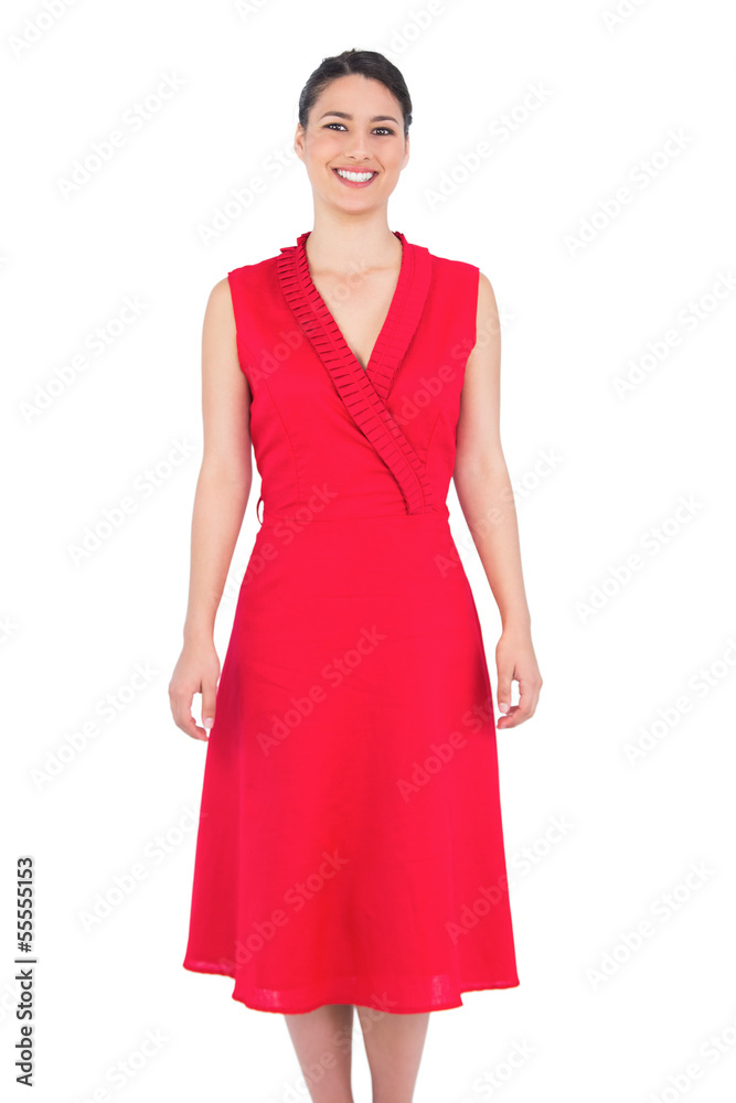 Cheerful elegant brunette in red dress posing Cheerful elegant brunette in red dress posing