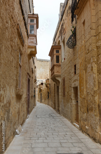 Maltese narrow street Mdina, Malta © miklyxa