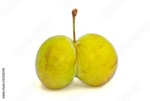 Εκτύπωση καμβά Deformed plum
