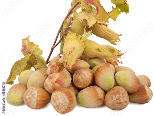 Hazelnuts