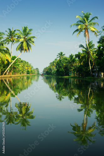 backwaters of Kerala  India