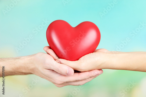 Heart in hands on nature background