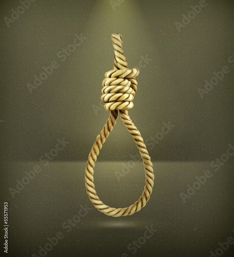 Hangman's knot, vector