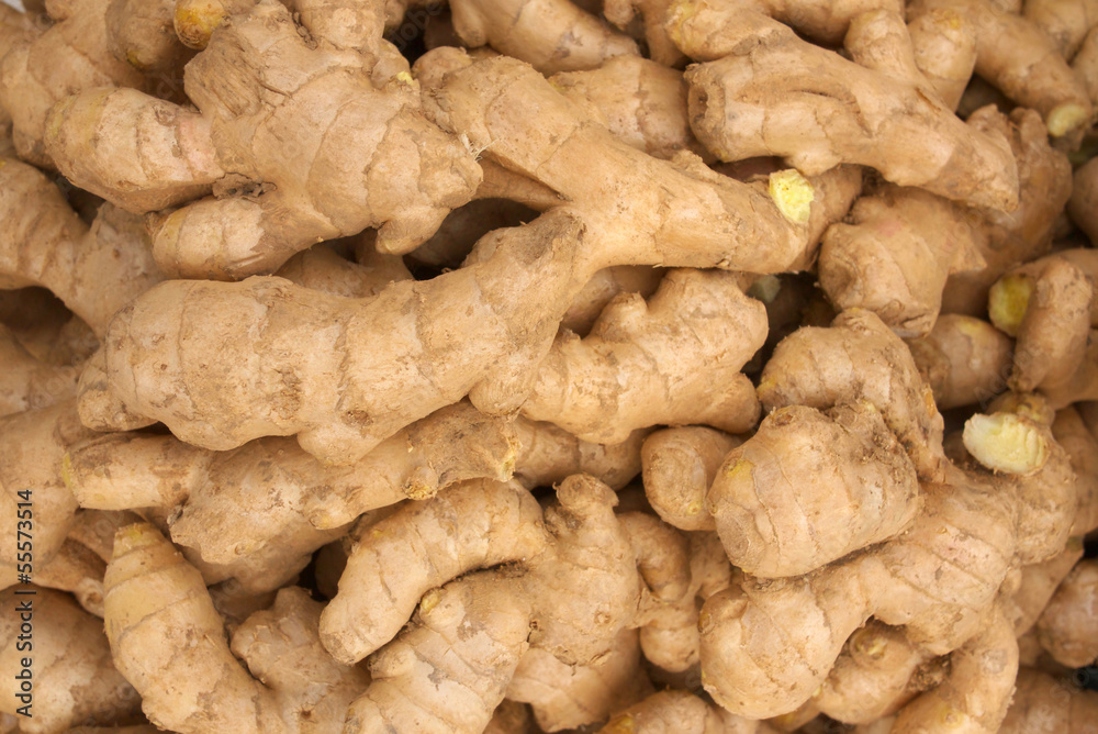 ginger ginger