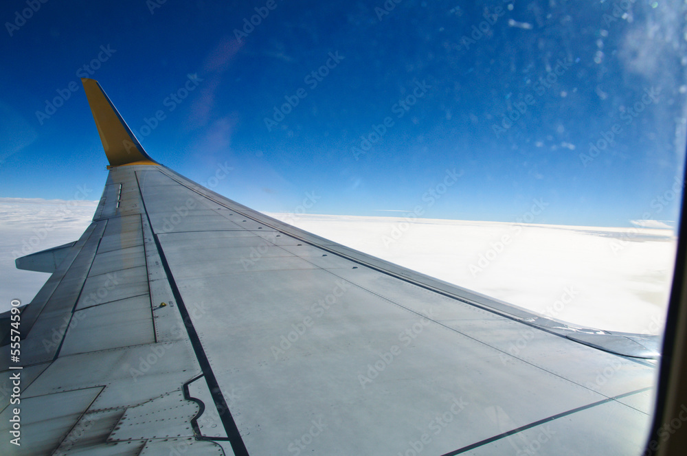 airplane wing viewing airplane wing viewing