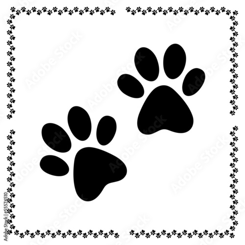 paw prints