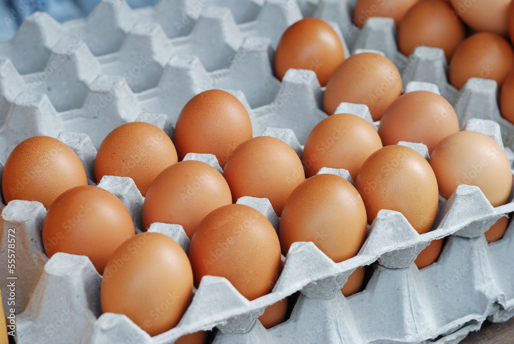 eggs in carton eggs in carton