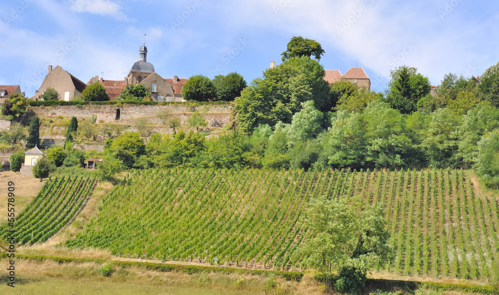 vignes de Vézelay (Morvan)