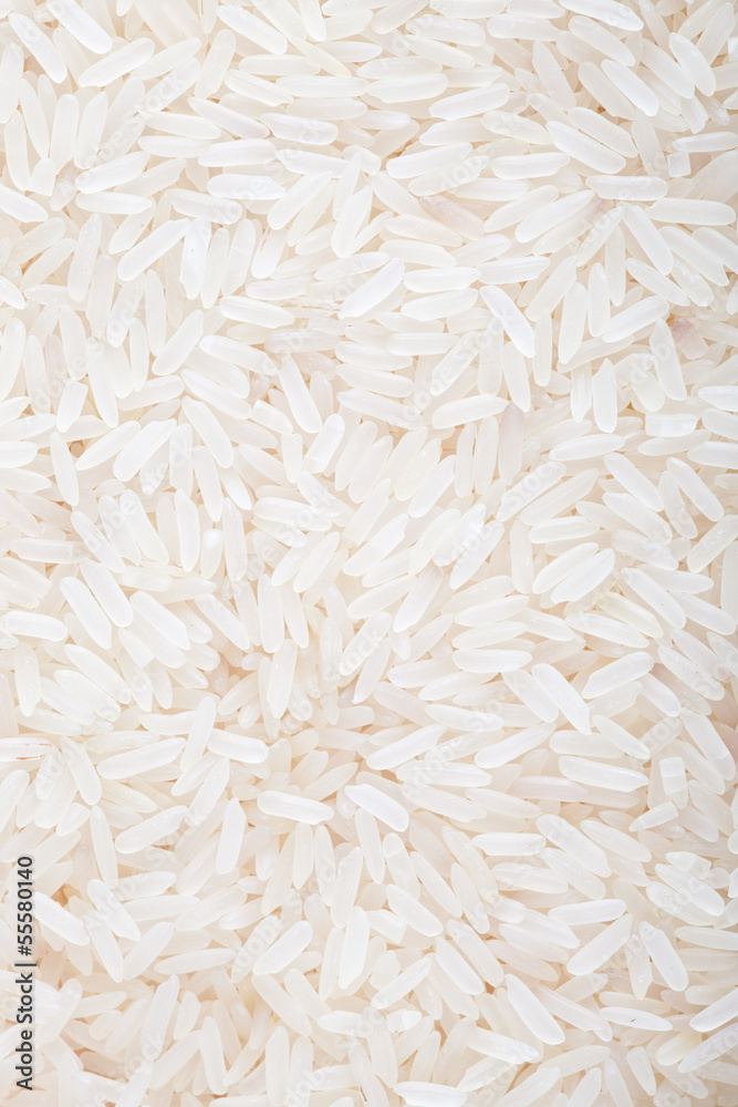 white rice white rice