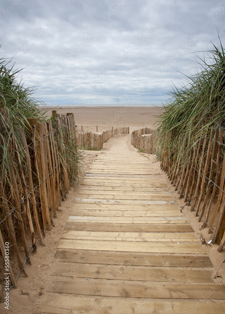Fototapeta premium planked walkway to the beach