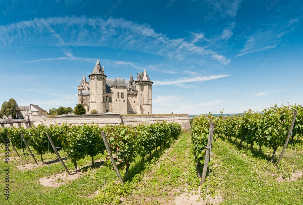 Chateau de Saumur, Loire Valley, France