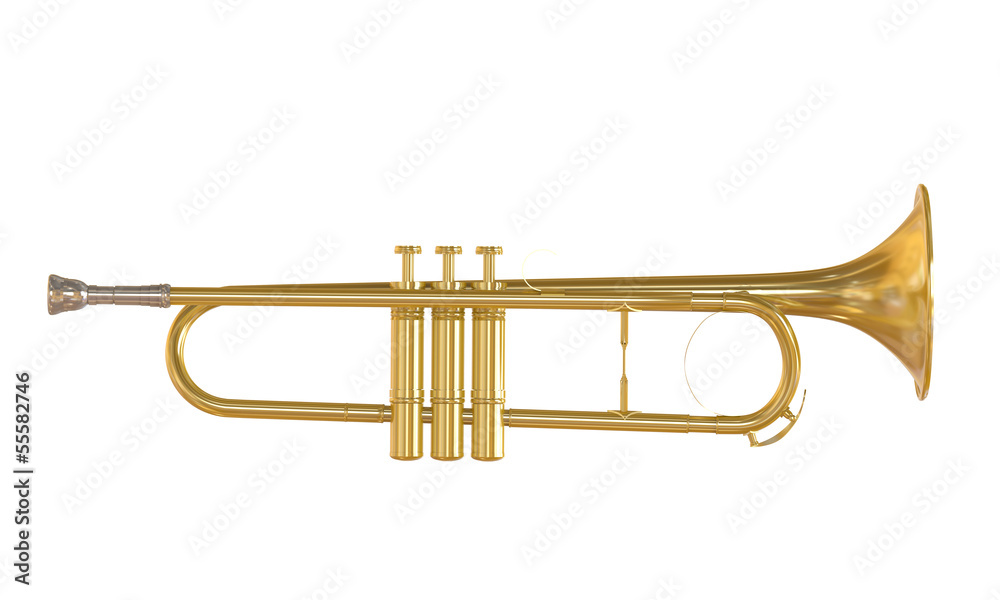 Fototapeta premium Gold Trumpet Isolated