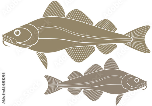 Cod