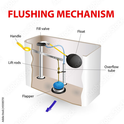 flushing mechanism  Flush toilet