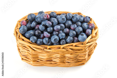 Wallpaper Mural basket of blueberries Torontodigital.ca