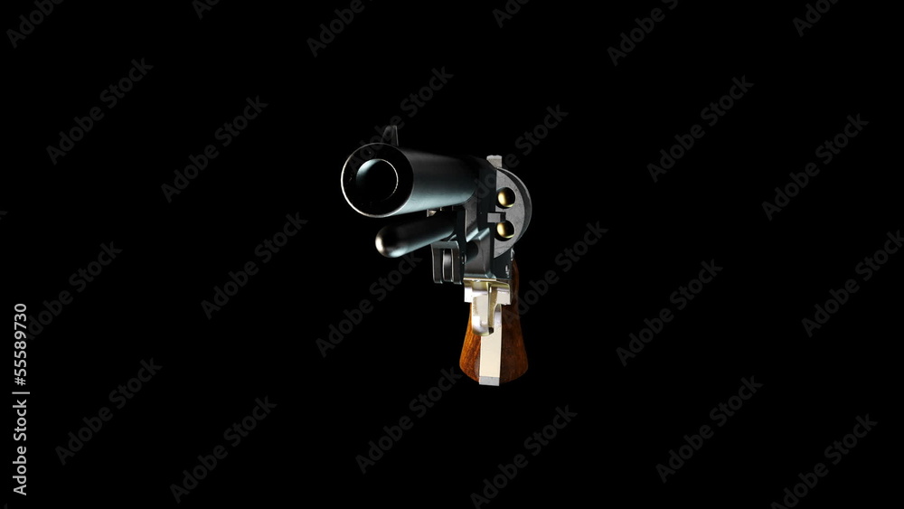 Old Revolver with Alpha Old Revolver with Alpha