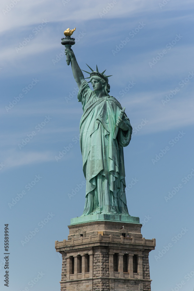 Statue of Liberty - New York - Usa