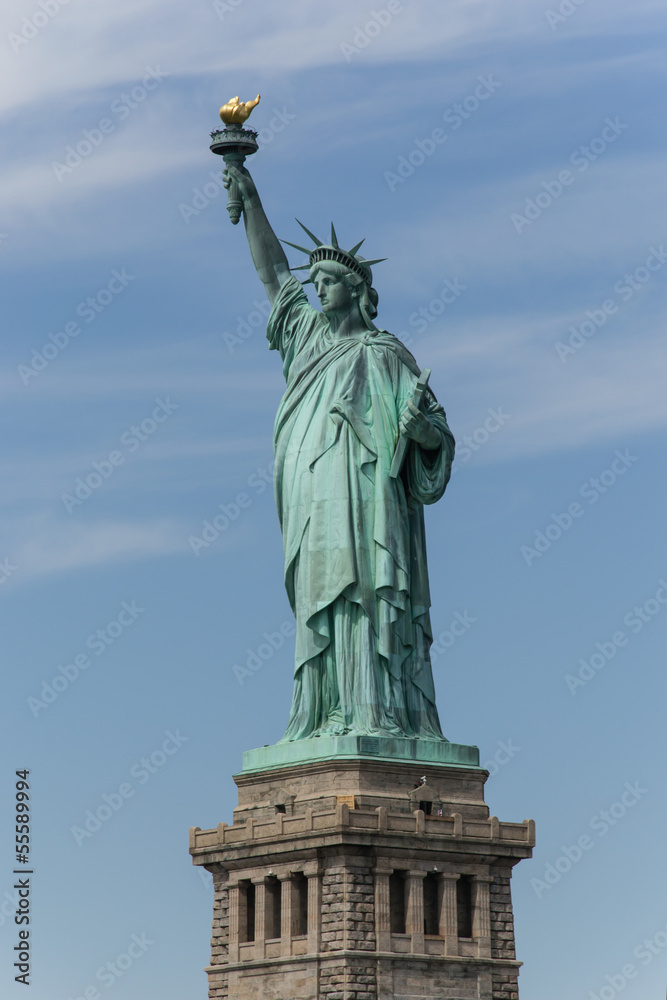 Obraz premium Statue of Liberty - New York - Usa