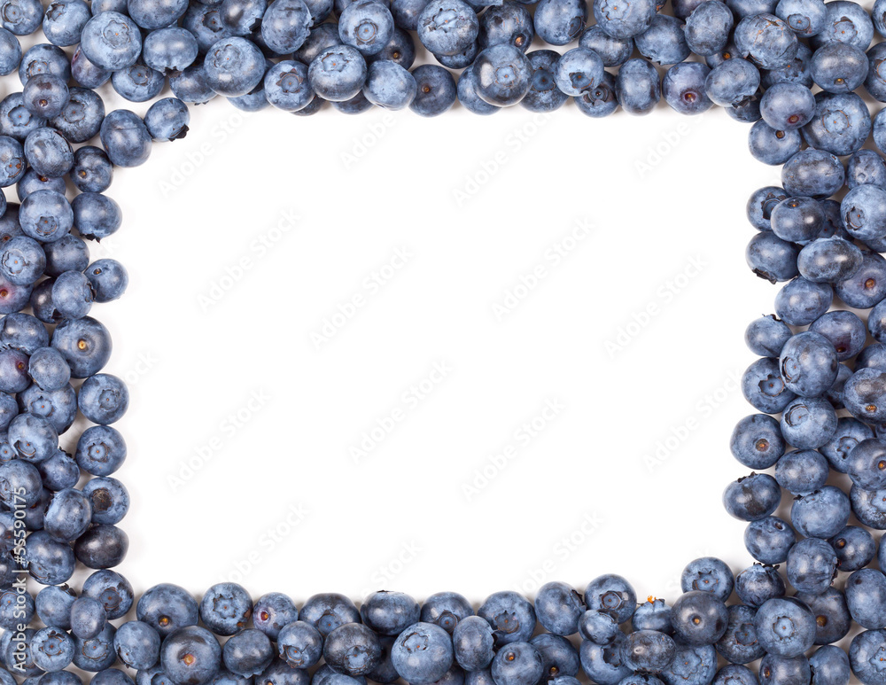 Blueberry frame Blueberry frame