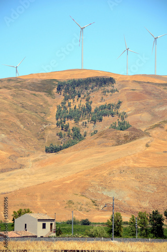 Clean energy from the wind farms