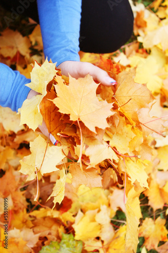 golden gelbe herbstblätter