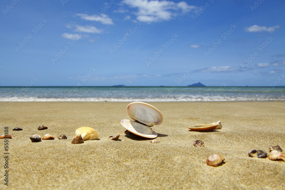 Strand Strand