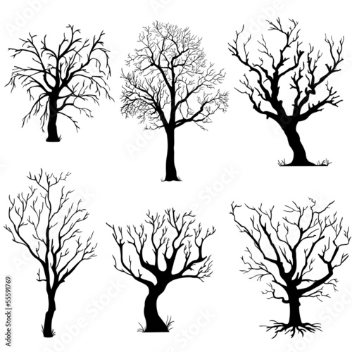 vector set of silhouettes of trees