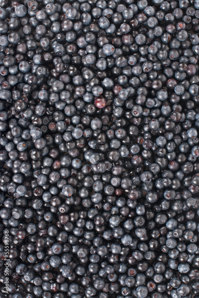 Blueberry backgrond Blueberry backgrond