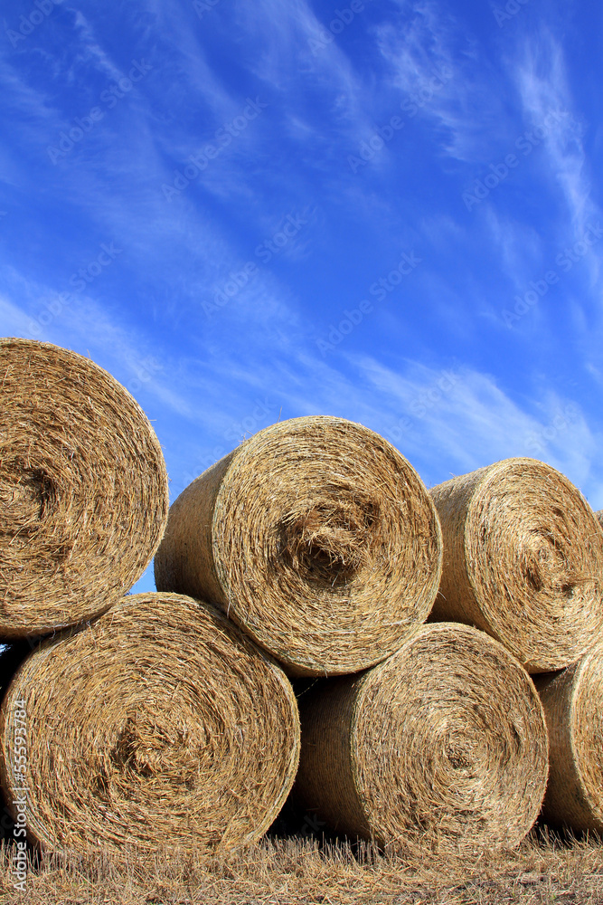 Round Hay Bales against Beautiful Sky Round Hay Bales against Beautiful Sky