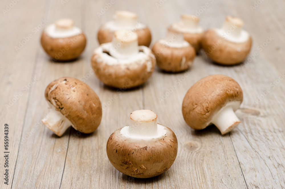 Braune Champignons