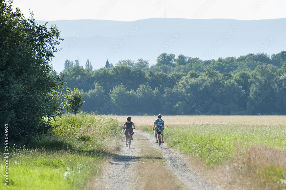 Radfahrer Radfahrer