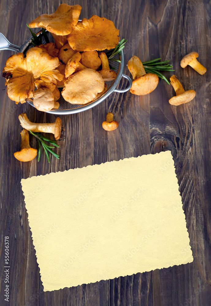 Chanterelles in sieve