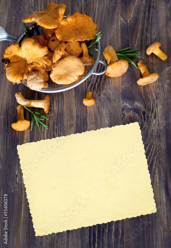 Obraz na płótnie Chanterelles in sieve w salonie