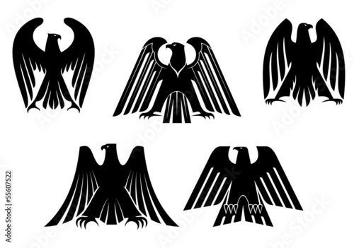 Silhouettes of eagles