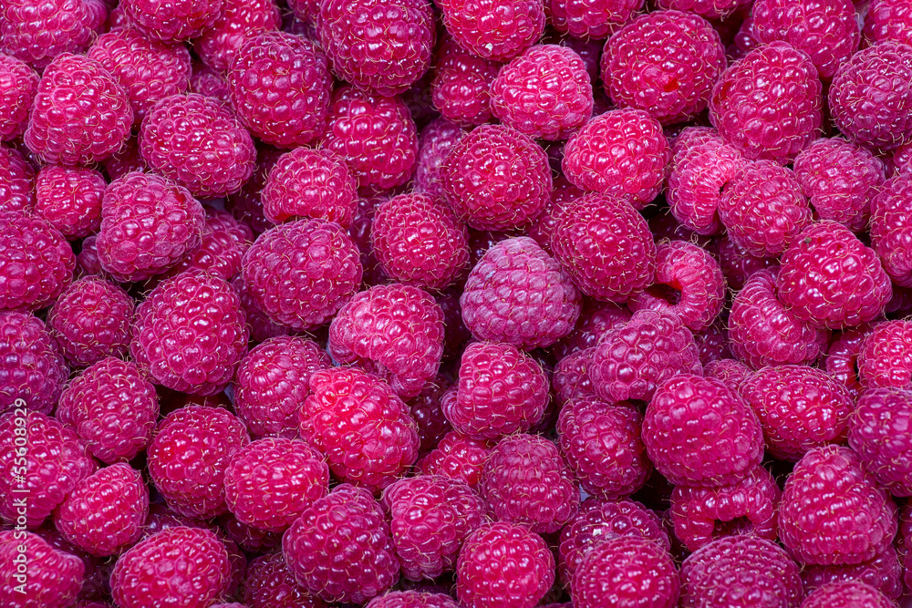 Raspberry fruit background Raspberry fruit background