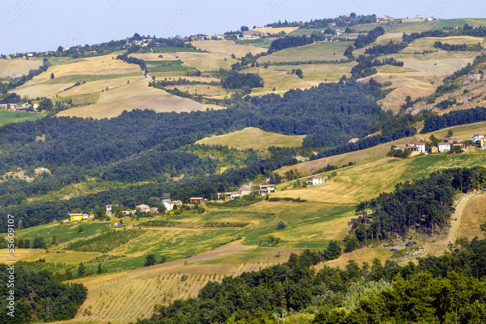 Oltrepo Pavese landscape color image